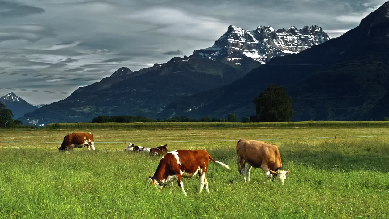 Open western land